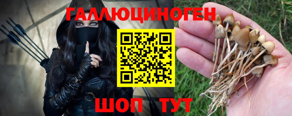 Тихорецк  Галлюциногенные грибы Psilocybine cubensis  закладка  Вход с VPN 
